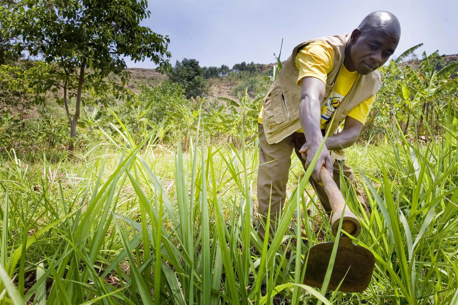 Uganda farmer