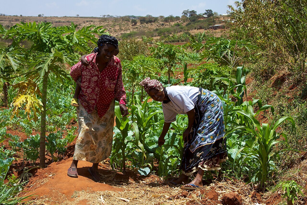 Women-small-holder-farmers